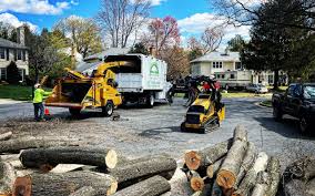 Best Residential Tree Removal  in Lumbine, CO